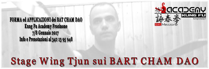 kung fu academy wing tjun caserta wing chun italia stage bart cham dao frosinone